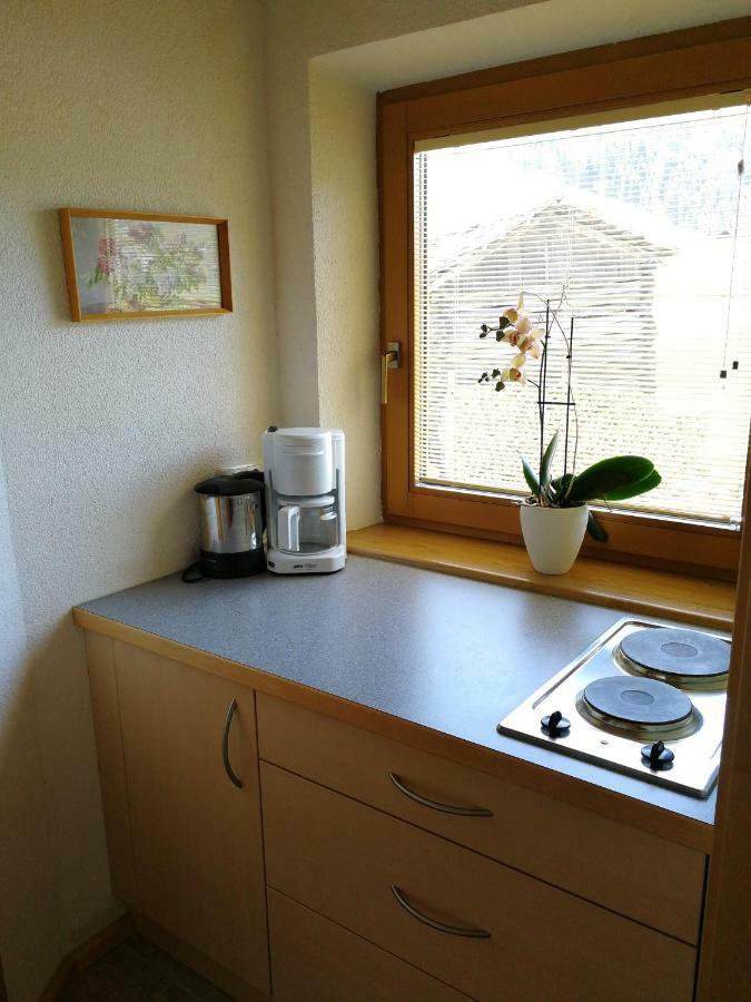 Haus Holzer Apartment Kals-am Großglockner Екстериор снимка